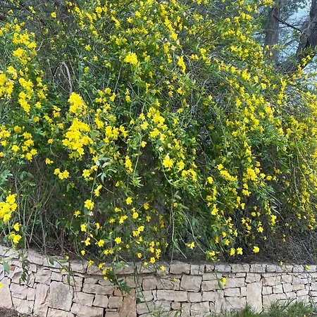 Chalet Parco Delle Stelle